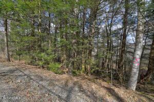 73 Goose Pond Rd, Tyringham, MA 01264 photo 9