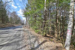 73 Goose Pond Rd, Tyringham, MA 01264 photo 3