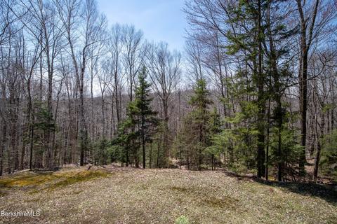 1149 Shaw Rd, Windsor, MA 01270 photo 19