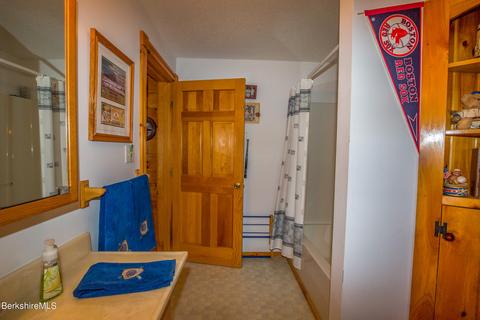 42 Lakeside Dr, Tyringham, MA 01264 photo 16
