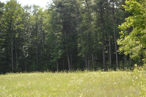 11 Stoneledge Rd, Lenox, MA 01240