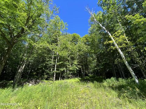 1136 Flintstone Rd, Windsor, MA 01270 photo 3