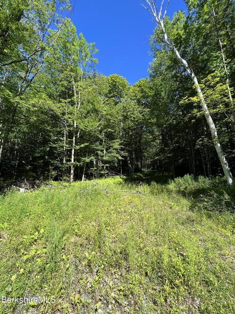 1136 Flintstone Rd, Windsor, MA 01270 photo 4