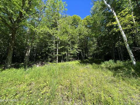 1136 Flintstone Rd, Windsor, MA 01270 photo 2