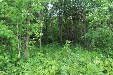 516 North St, Windsor, MA 01270 photo 1