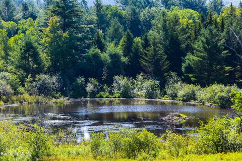 1256 E Windsor Rd, Windsor, MA 01270 photo 5
