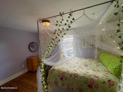 57 Maple St, Williamstown, MA 01267 photo 19