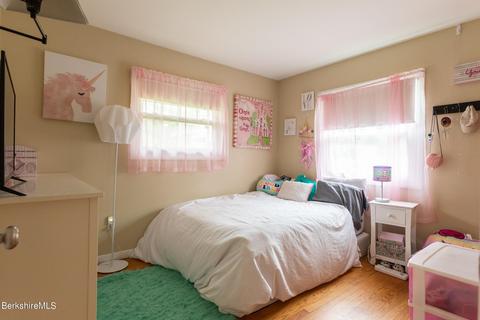 55 Mountain View Ter, Lee, MA 01238 photo 23