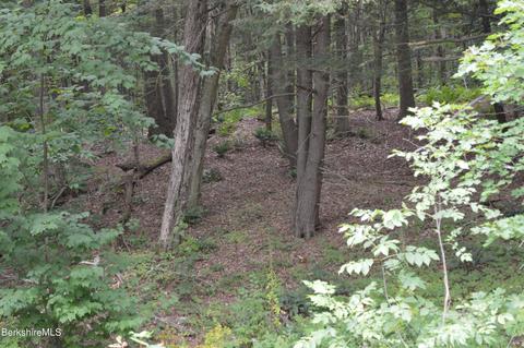 lot404 19 Jacobs Ladder Rd, Becket, MA 01223