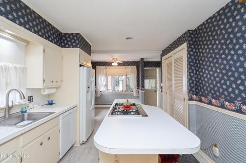 121 Bellevue Ave, Springfield, MA 01108 photo 60