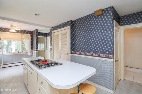 121 Bellevue Ave, Springfield, MA 01108 photo 61