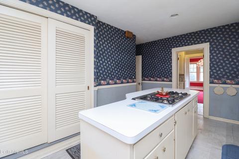 121 Bellevue Ave, Springfield, MA 01108 photo 63