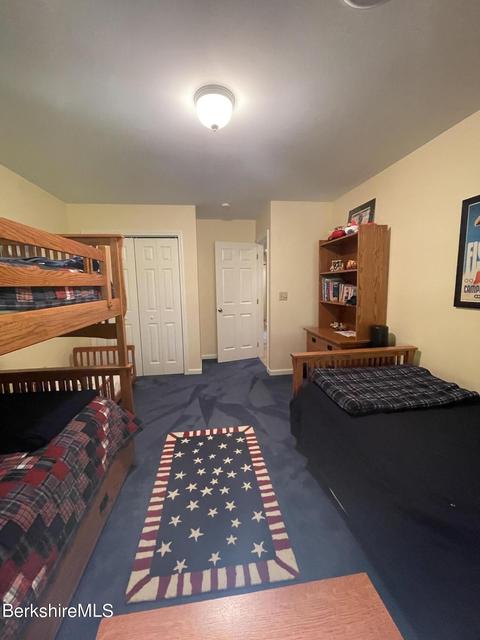 9201 Mountainside Dr, Hancock, MA 01237 photo 29