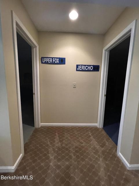9201 Mountainside Dr, Hancock, MA 01237 photo 24