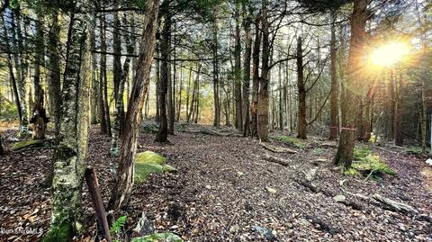 lot10 Bonny Rigg Hill Rd, Becket, MA 01223