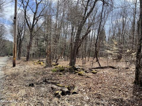 00 Campbell Rd, Plainfield, MA 01070 photo 7