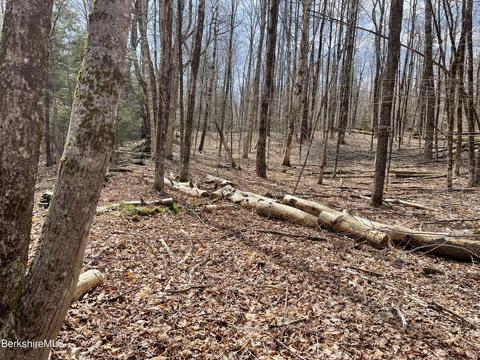 00 B Campbell Rd, Plainfield, MA 01070 photo 5