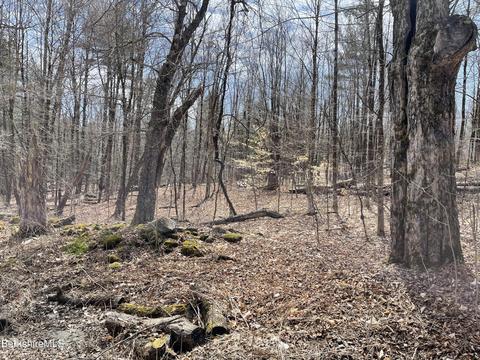 00 B Campbell Rd, Plainfield, MA 01070