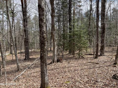 00 B Campbell Rd, Plainfield, MA 01070 photo 6