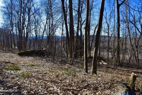 55 E Sheffield Rd, Great Barrington, MA 01230
