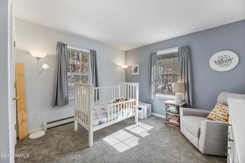 745 Tyringham Rd, Lee, MA 01238 photo 23