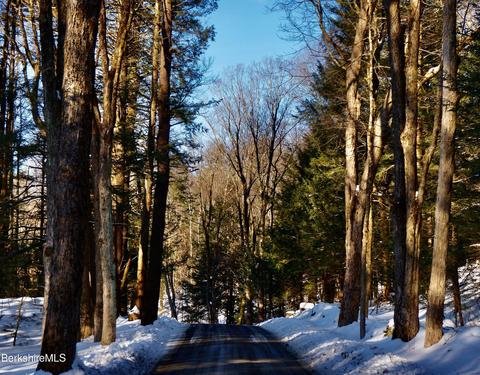 0 George Cannon Rd, Tyringham, MA 01264