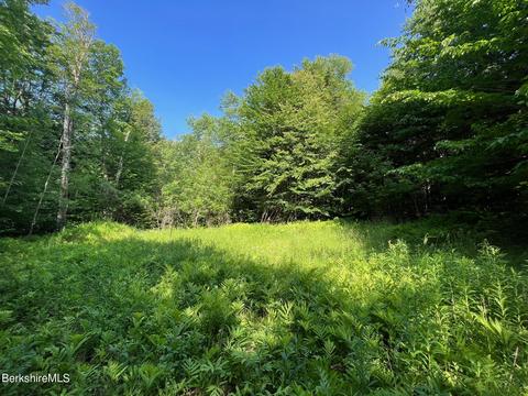 20 Strong Rd, Peru, MA 01235