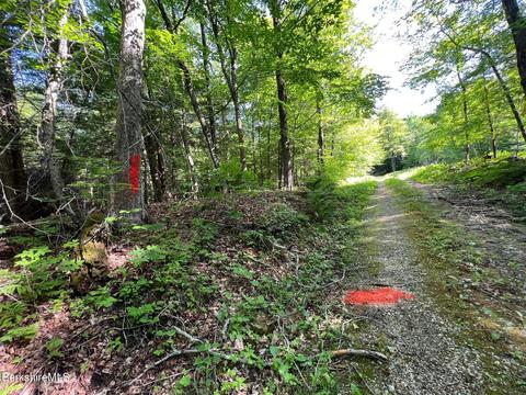 20 Strong Rd, Peru, MA 01235 photo 7