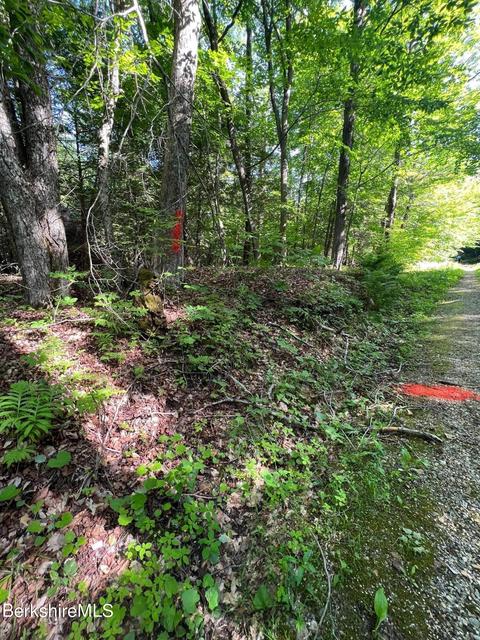 20 Strong Rd, Peru, MA 01235 photo 6