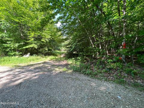 20 Strong Rd, Peru, MA 01235 photo 2