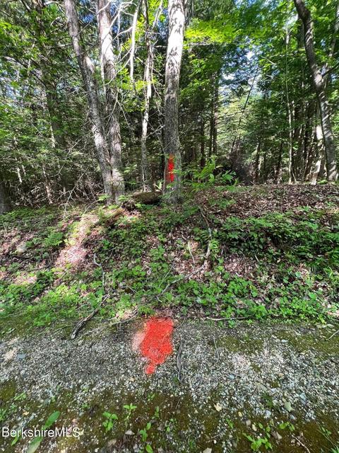20 Strong Rd, Peru, MA 01235 photo 5