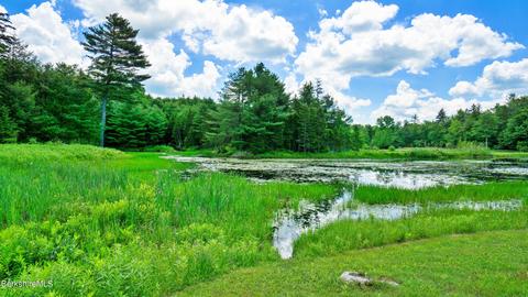 176 Beech Tree Ln, Becket, MA 01223 photo 39