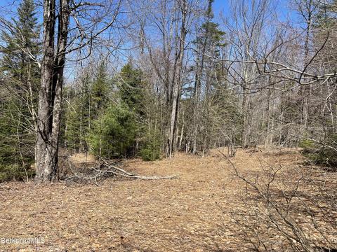 0 West St, Plainfield, MA 01070 photo 6