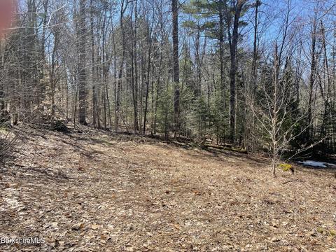 0 West St, Plainfield, MA 01070 photo 3