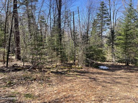 0 West St, Plainfield, MA 01070 photo 5