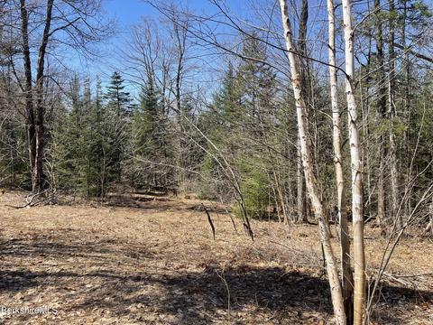 0 West St, Plainfield, MA 01070