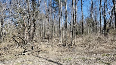 0 Dan Casey Memorial Dr, Pittsfield, MA 01201