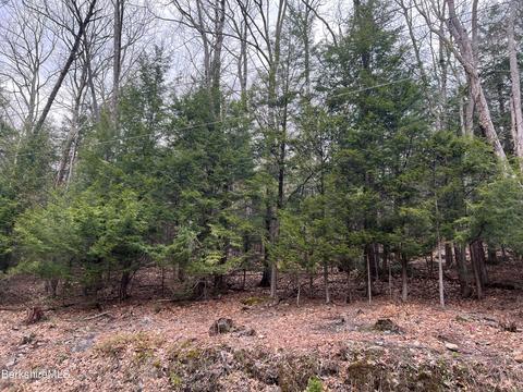 Monroe Road, Florida, MA 01247 photo 3