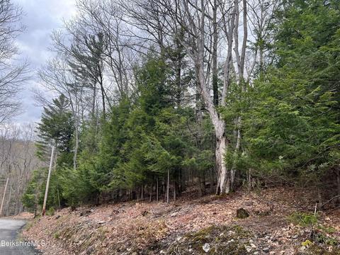 Monroe Road, Florida, MA 01247 photo 2
