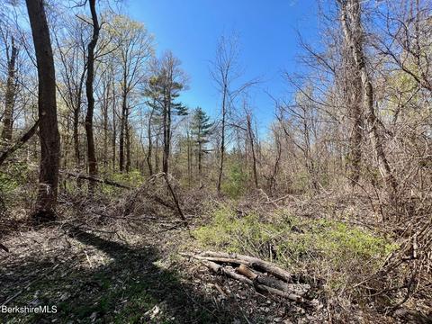 1 Housatonnuck Rd, Stockbridge, MA 01262