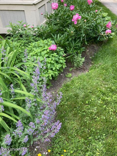 52 Cold Spring Rd, Williamstown, MA 01267 photo 15