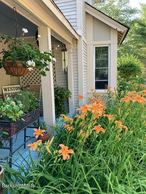52 Cold Spring Rd, Williamstown, MA 01267 photo 9