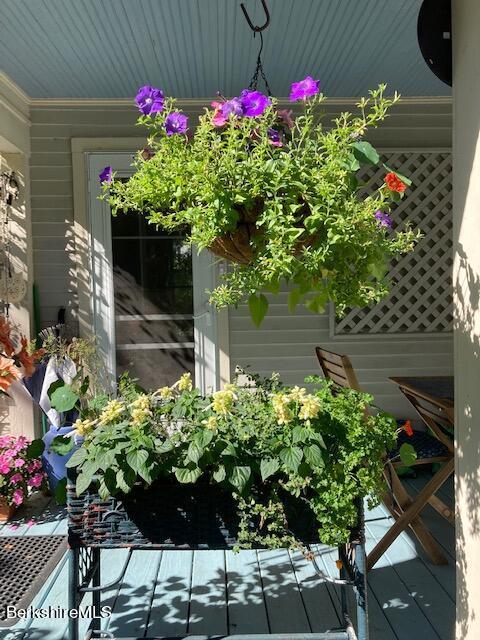 52 Cold Spring Rd, Williamstown, MA 01267 photo 11