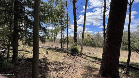 Lot 92 Jacobs Ladder Rd, Becket, MA 01223