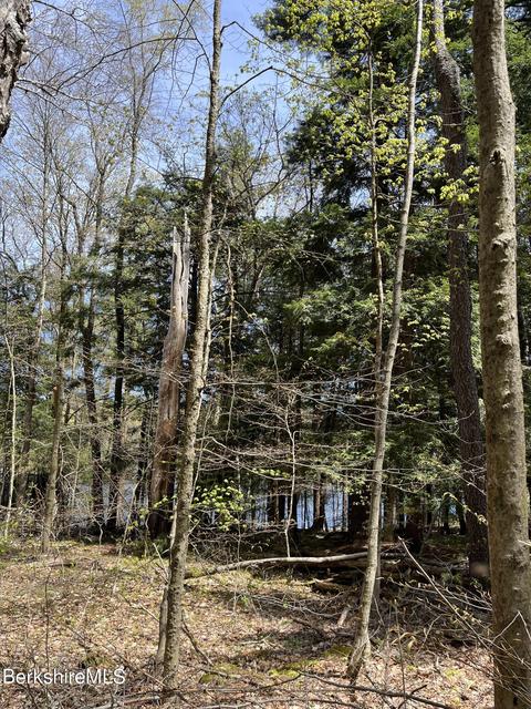 Undisclosed, Otis, MA 01253 photo 3