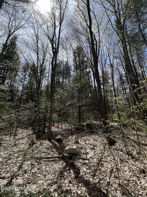 Undisclosed, Otis, MA 01253 photo 2