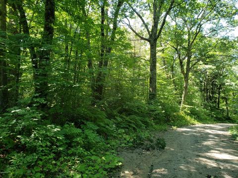 Perry Rd, Sandisfield, MA 01255