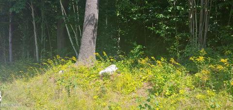 0 Ash Ln, Peru, MA 01235 photo 2