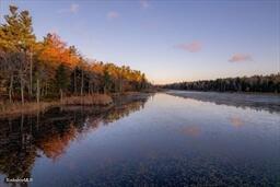 0 Johnson Rd, Becket, MA 01223 photo 8