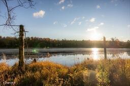 0 Johnson Rd, Becket, MA 01223 photo 7